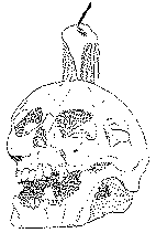 Totenschaedel